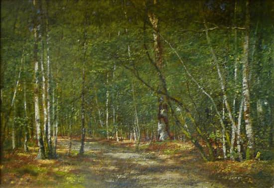 Лесная дорога