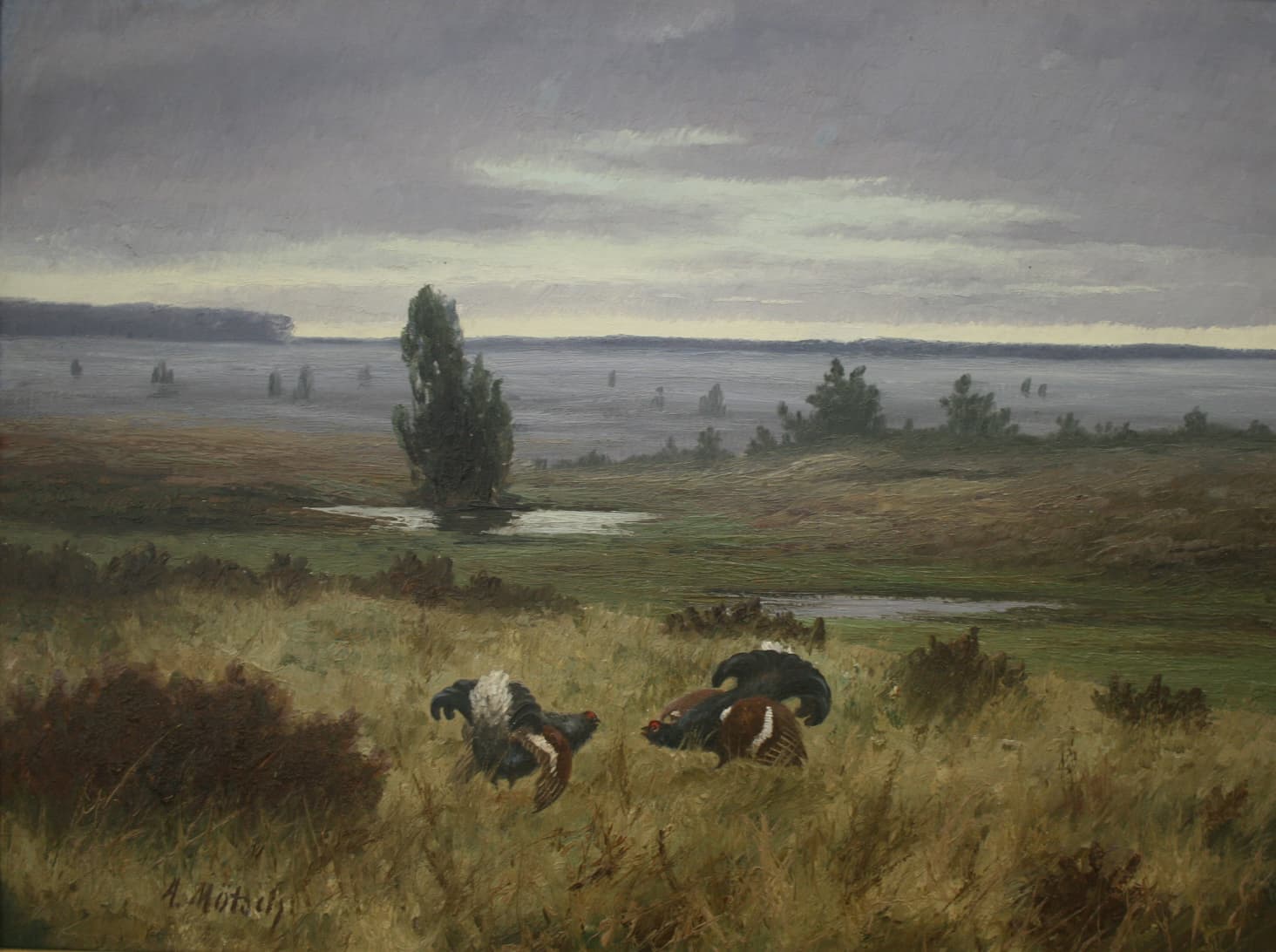 Глухариный ток