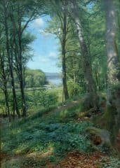 Солнечный день, летний пейзаж