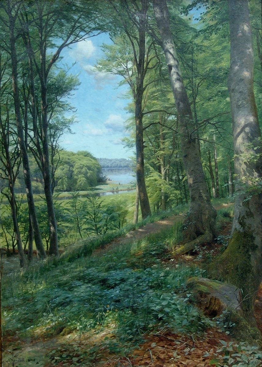 Солнечный день, летний пейзаж