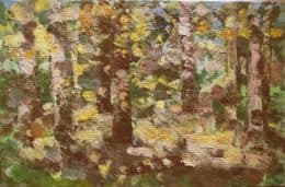 Лесное царство