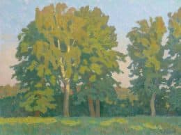 Вечернее солнце