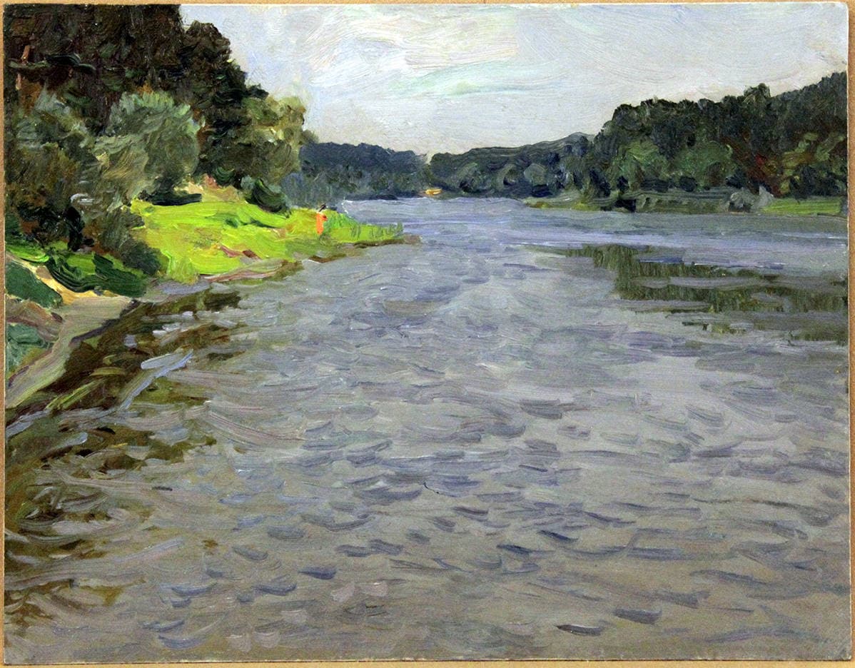 Друскининкай Неман