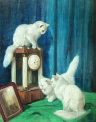 Три любопытных кошки