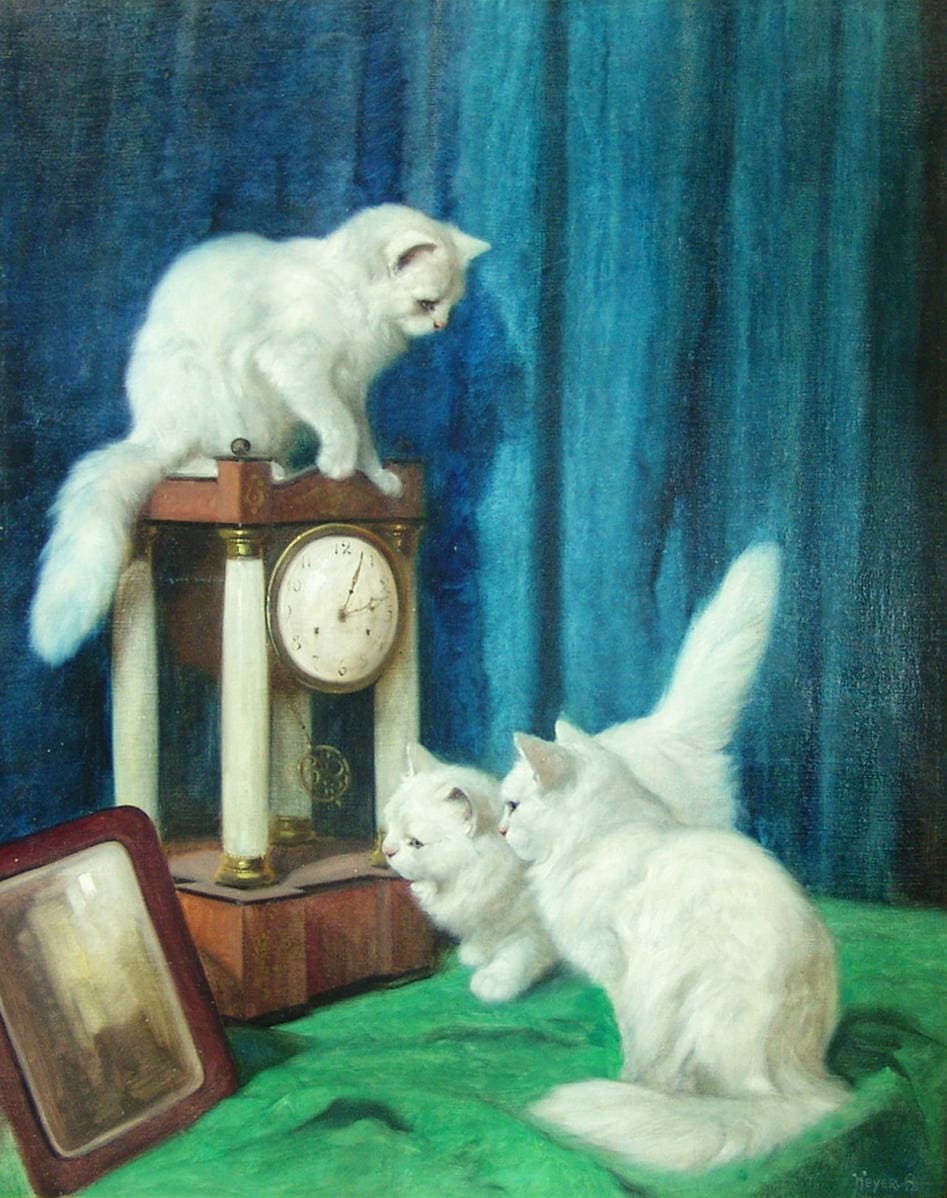 Три любопытных кошки