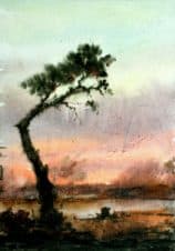 У Келасури. Сухум.