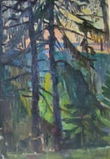 Ели, в турпоходе