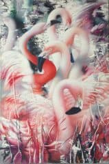 Розовый Фламинго