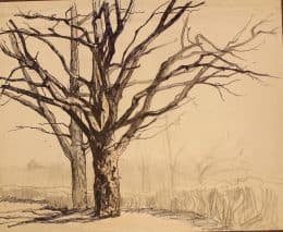 Дерево.Зима