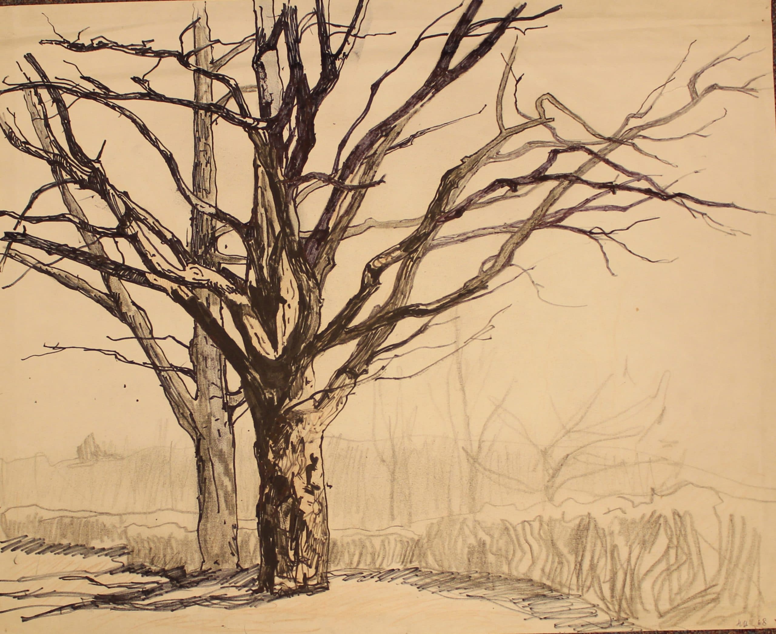 Дерево.Зима