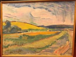 Окрестности Сенежа