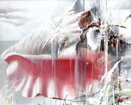 Раковина после дождя