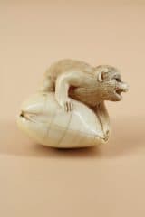 Обезьяна на ракушке