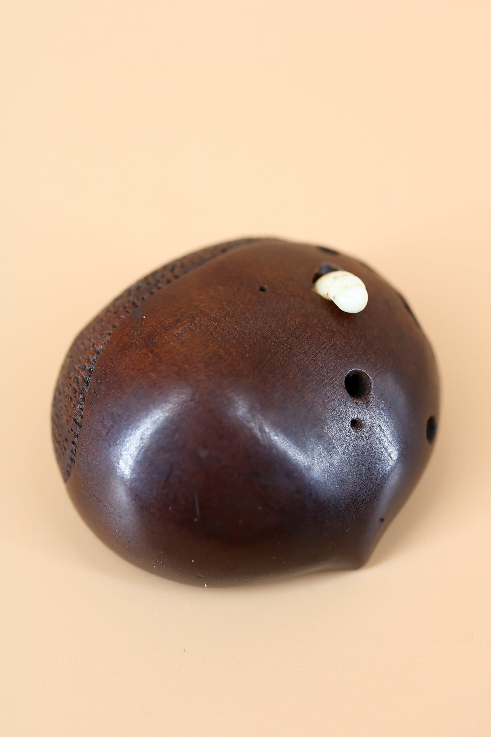 Червяк в фундуке