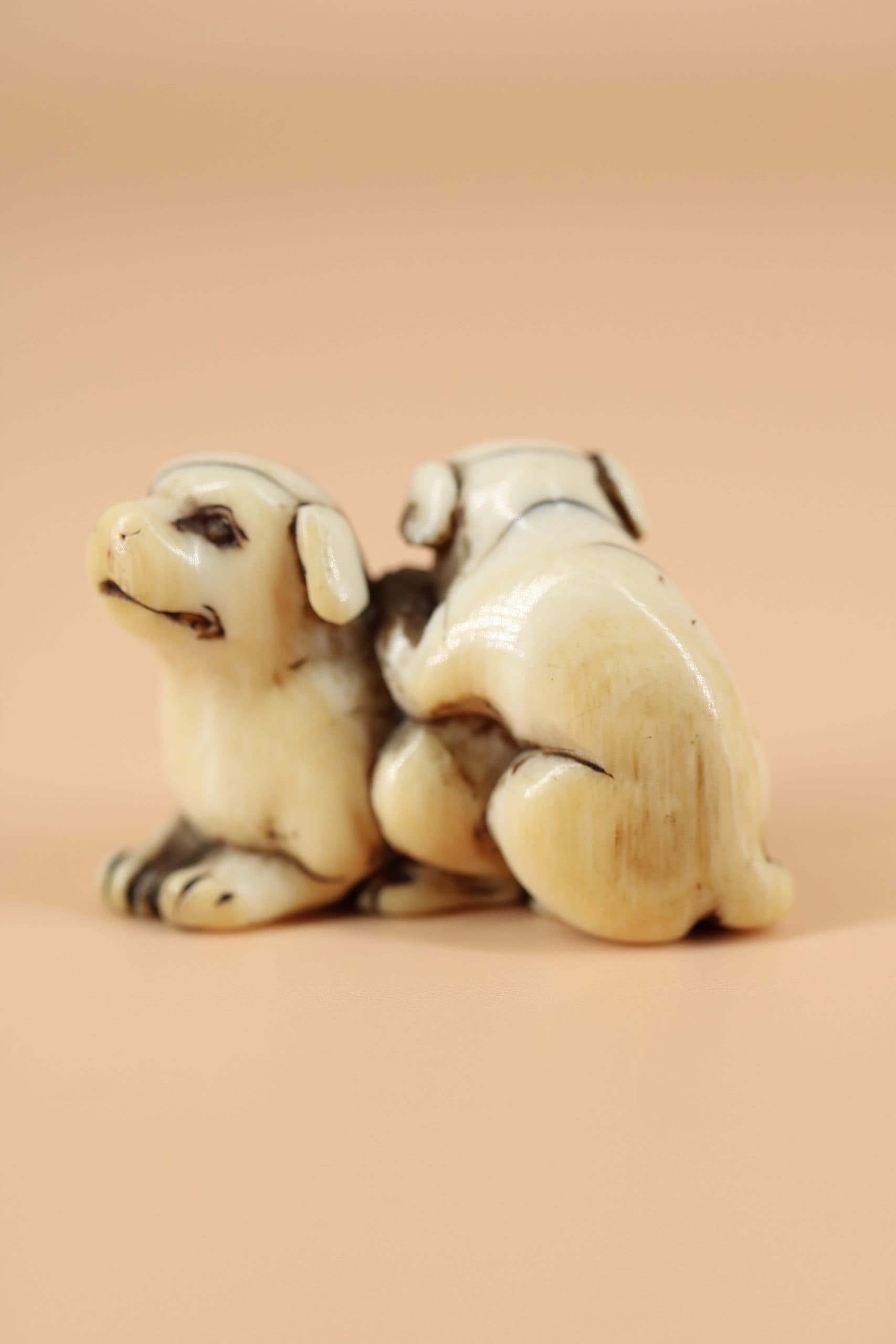 Две собачки