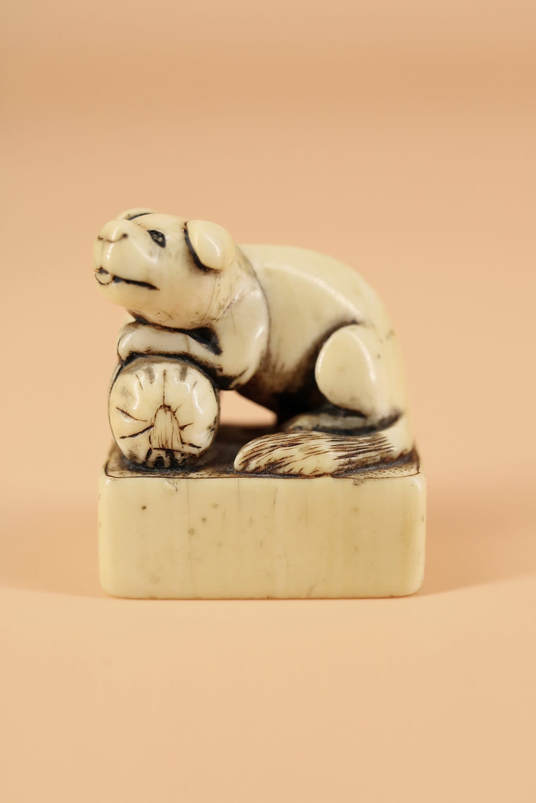 Собачка печать