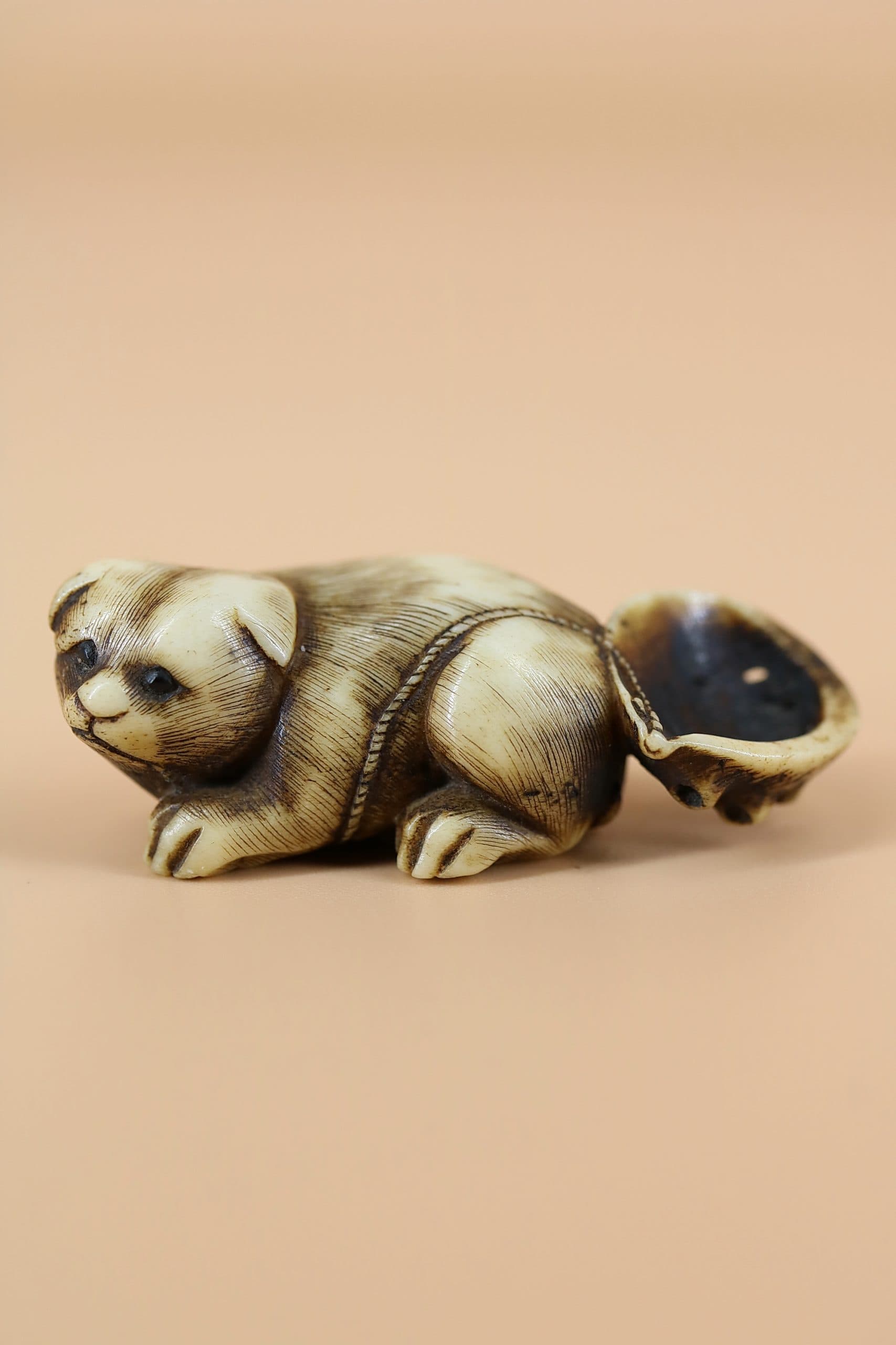 Собачка с миской-ракушкой