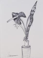 Натюрморт с антуриумом