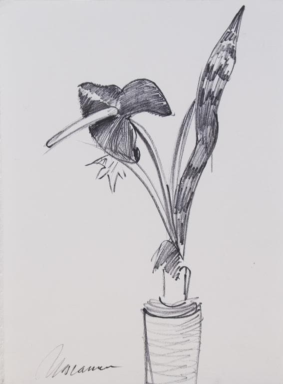 Натюрморт с антуриумом