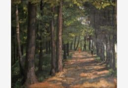 Сосновая аллея