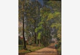 Аллея в Нареве