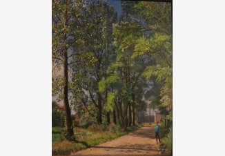 Аллея в Нареве