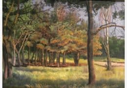 Реликтовые сосны в Дивноморском