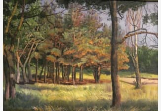 Реликтовые сосны в Дивноморском