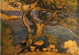 Сосна в Алупке