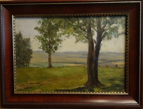 Ветка сосны