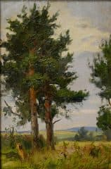 Среднерусский пейзаж