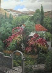 Петровац. Цветущие кусты бигумила.