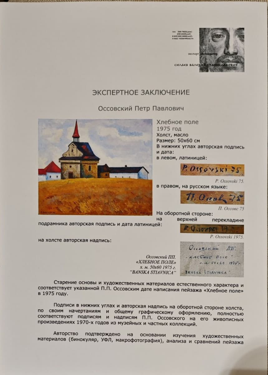 Хлебное поле