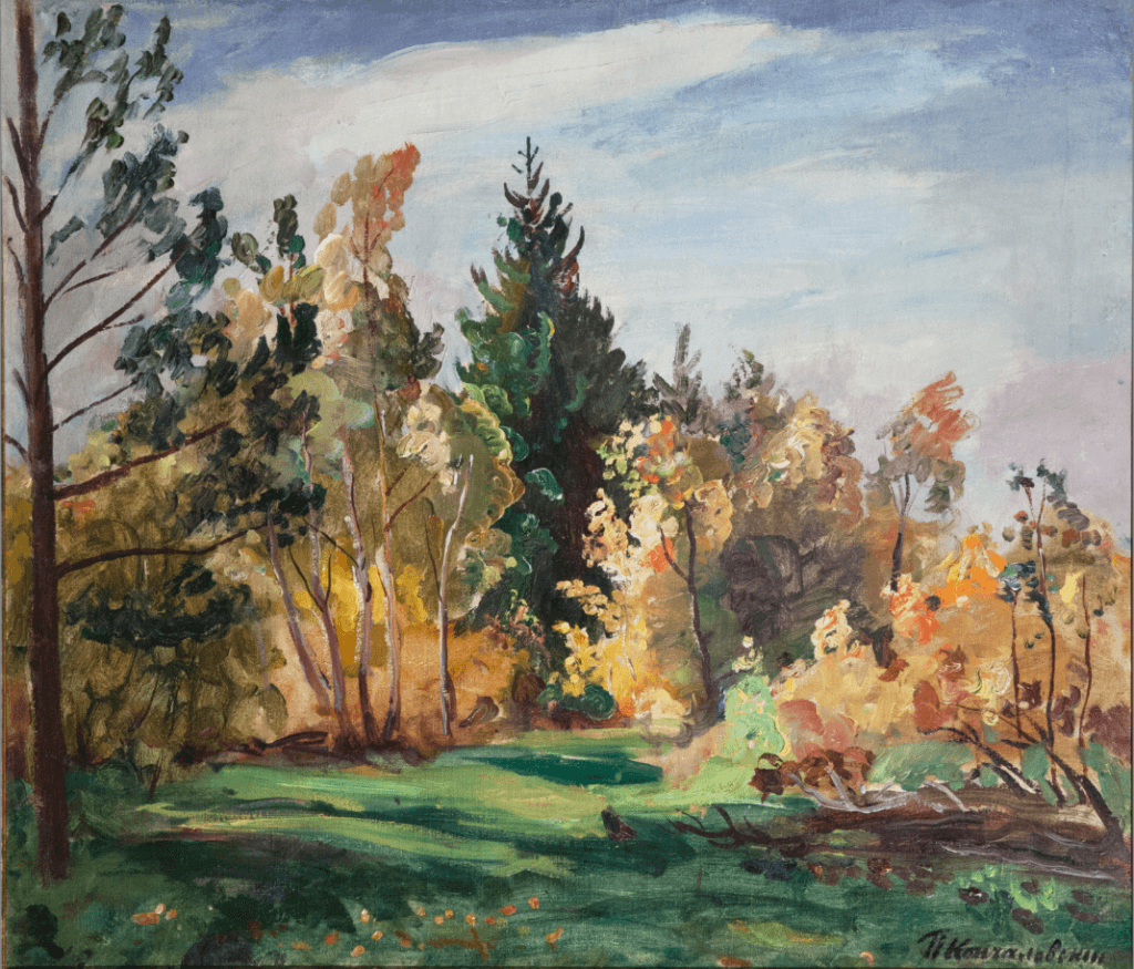 Луч солнца. Лес.