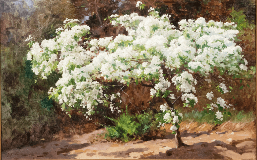 Цветущее дерево - изображение 2