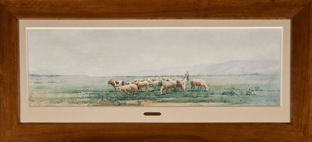 Выпас овец в предгорье Заилийского Алатау