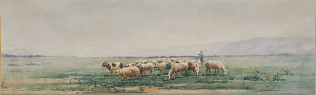 Выпас овец в предгорье Заилийского Алатау - изображение 2