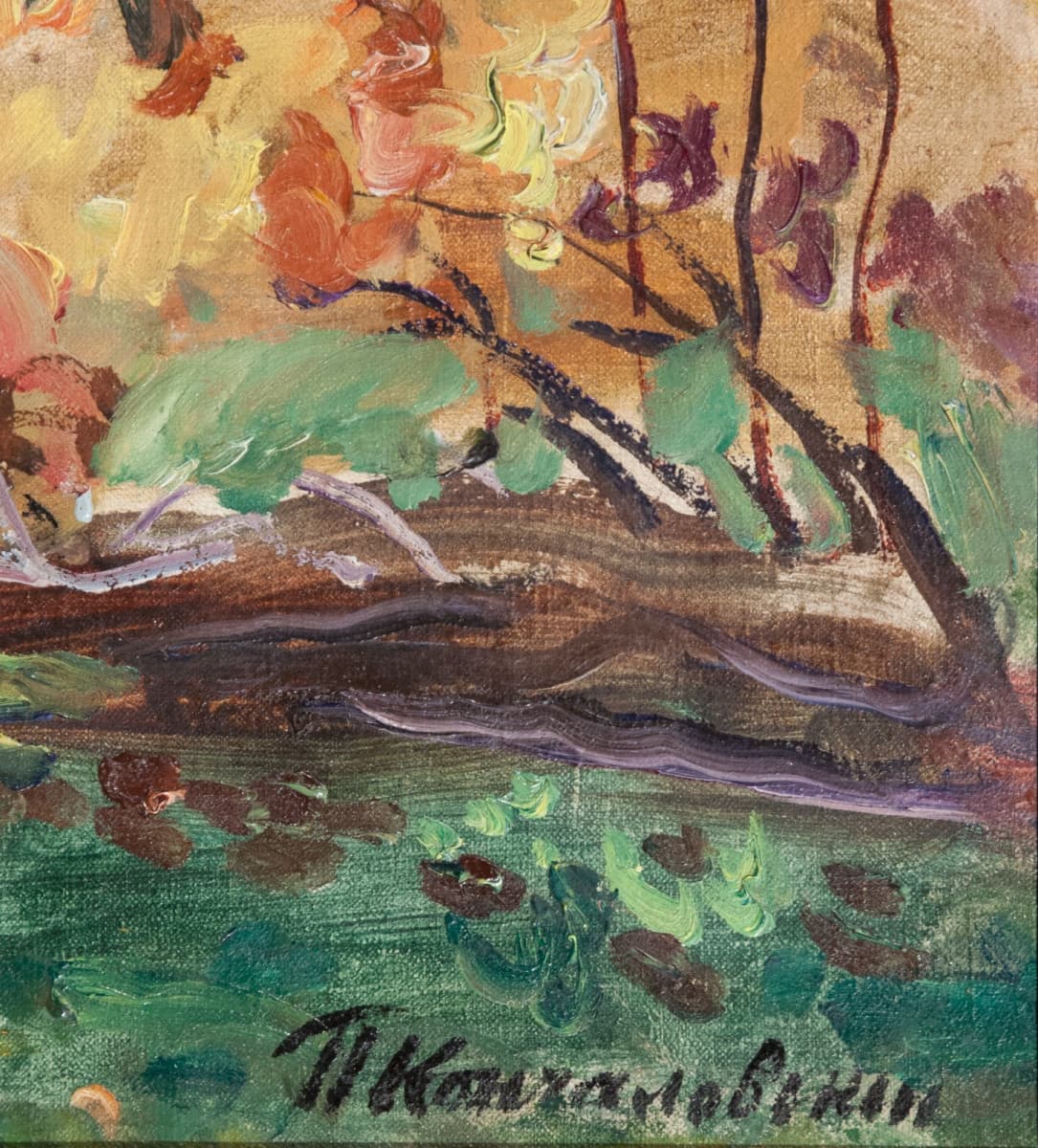 Луч солнца. Лес