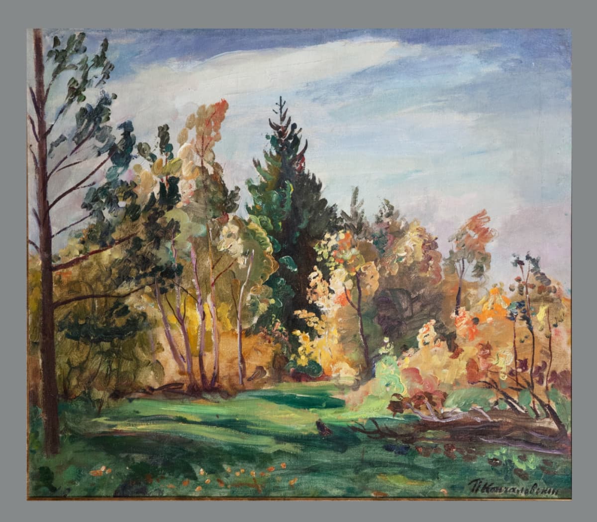 Луч солнца. Лес